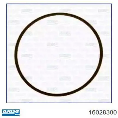 16028300 Ajusa Vedante de tubo coletor de admissão