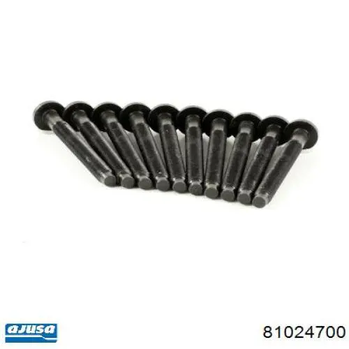 Parafuso de cabeça de motor (CBC) Ajusa 81024700 preço, a partir de 28,34 USD