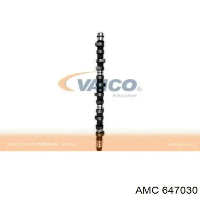 647030 AMC Árvore distribuidora de motor