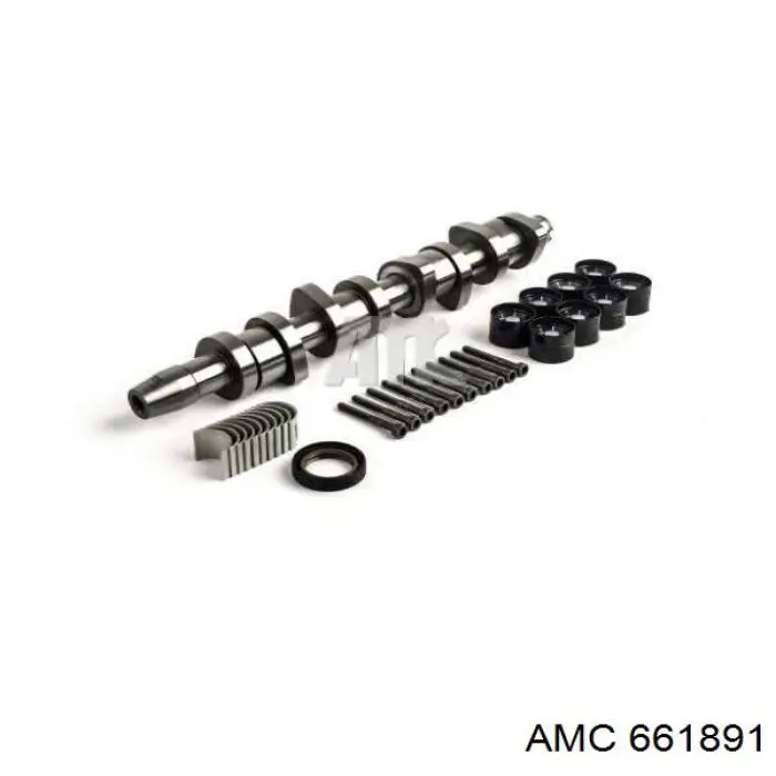 Árvore distribuidora de motor AMC 661891 preço, a partir de 180,50 USD