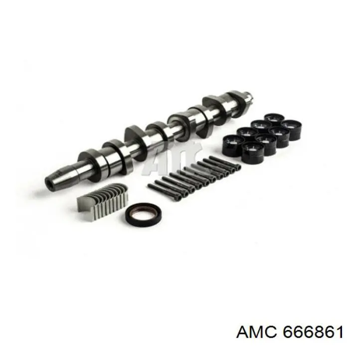 Compre 666861 AMC Árvore distribuidora de motor