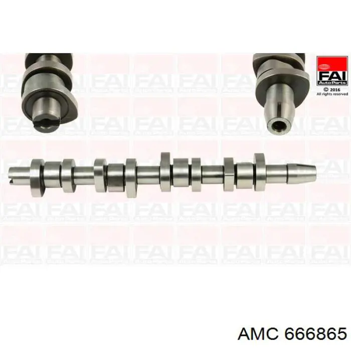 666865 AMC Árvore distribuidora de motor