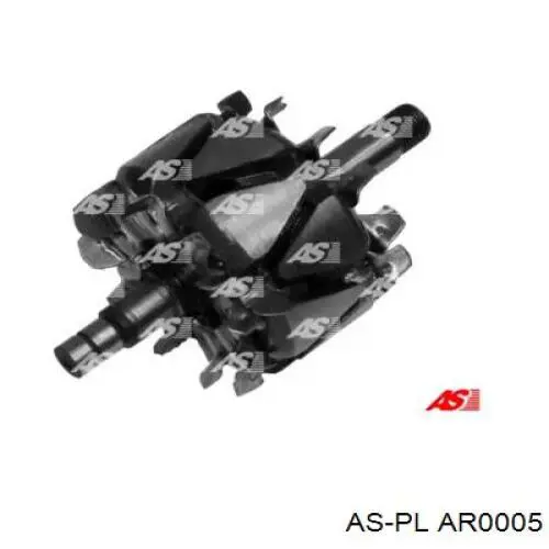 Induzido (rotor) do gerador 138039 Cargo