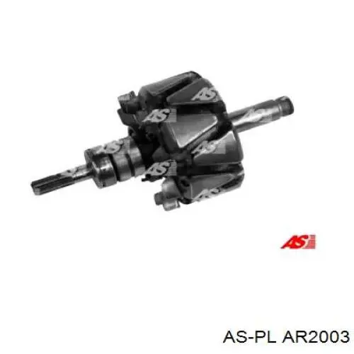 230055 Cargo Induzido (rotor) do gerador