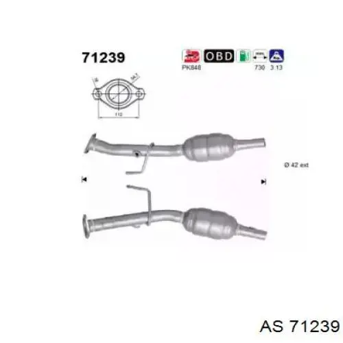 Compre 71239 AS/Auto Storm Convertidor - catalisador