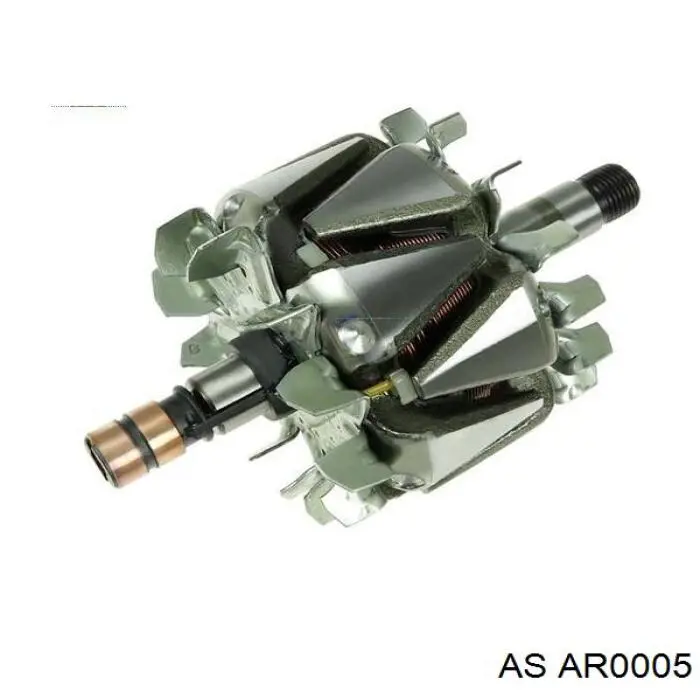 138039 Cargo Induzido (rotor) do gerador