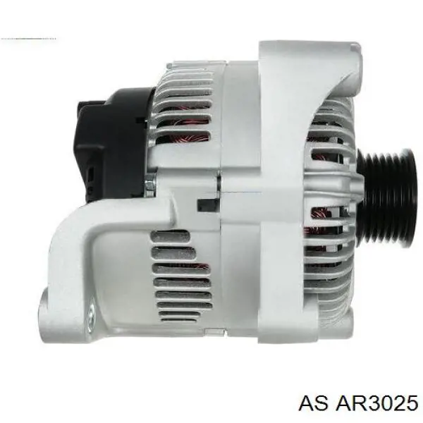 Induzido (rotor) do gerador AR3025 AS/Auto Storm