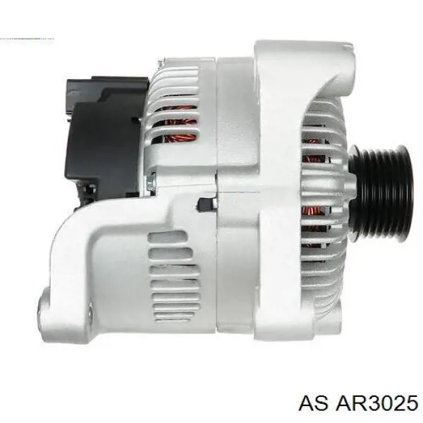 Induzido (rotor) do gerador AR3025 AS/Auto Storm