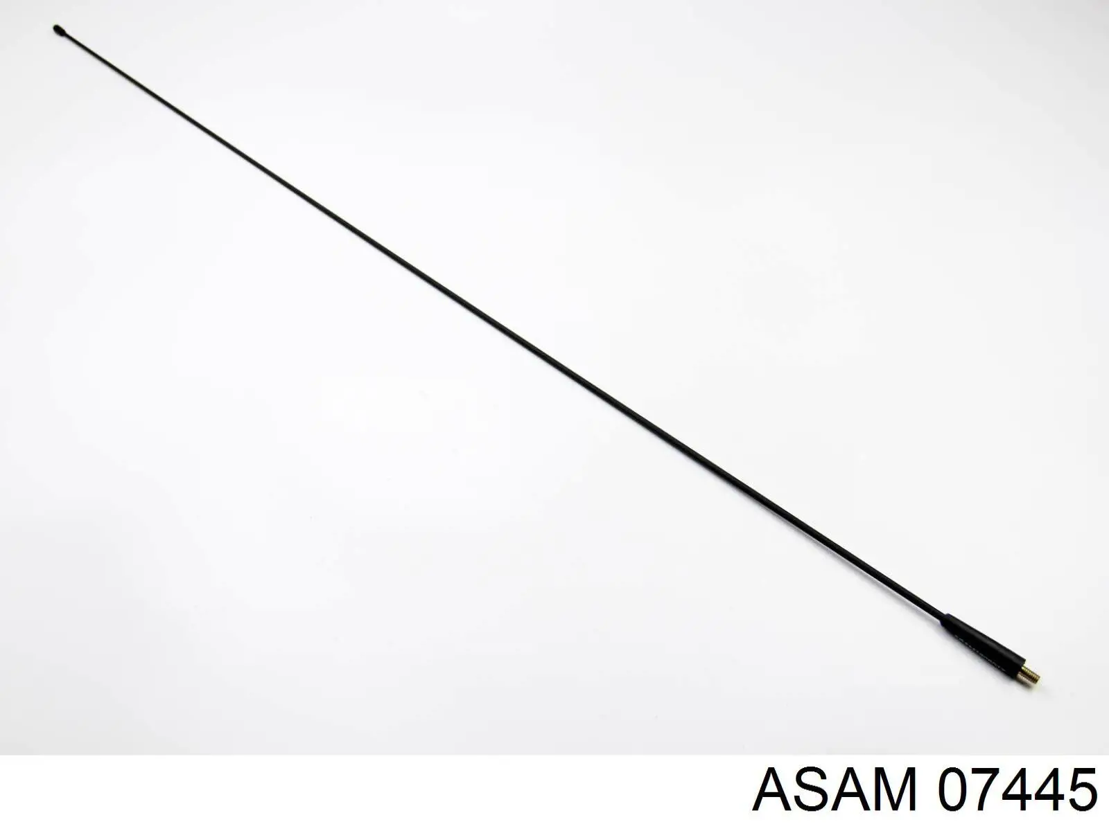 Compre EXAN73864 Euroex Haste de antena