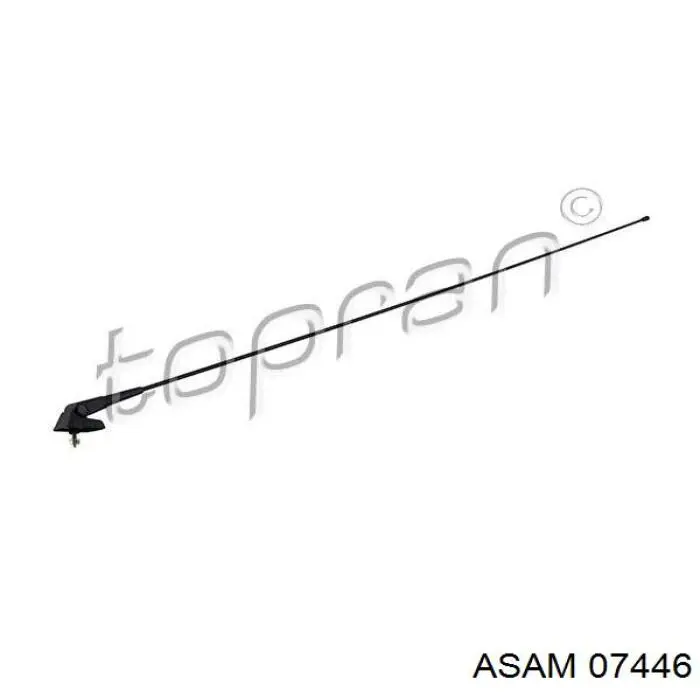 Antena Dacia Sandero I BS0, 1