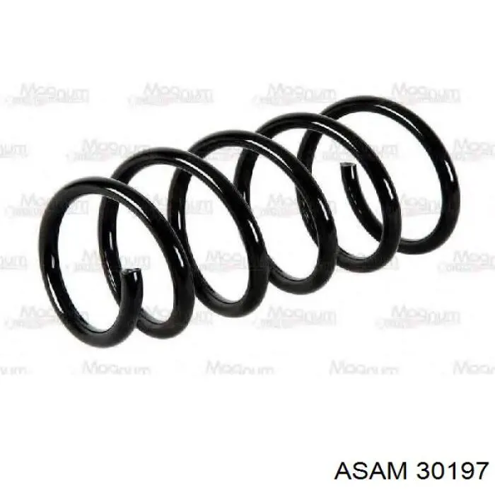 Compre 30197 Asam Mola dianteira