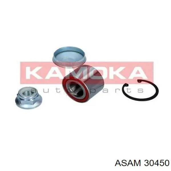 Compre 30450 Asam Rolamento de cubo traseiro