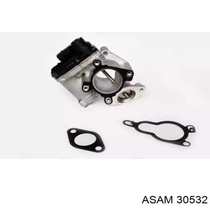 Compre 30532 Asam Válvula EGR de recirculação dos gases