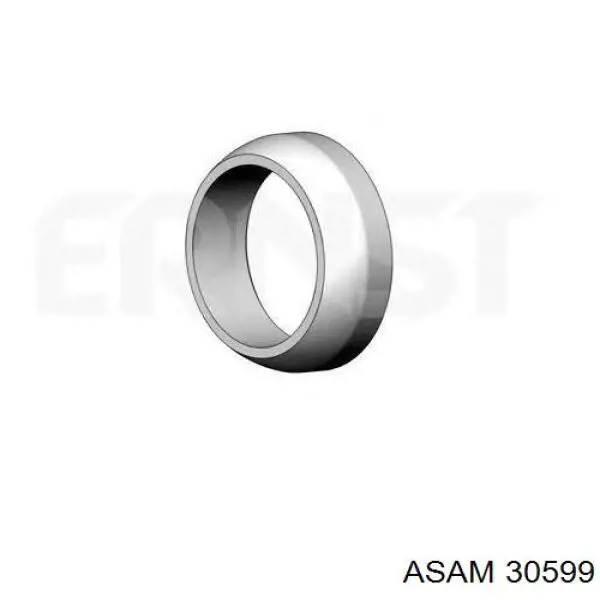 Compre 30599 Asam Anel de tubo de admissão do silenciador