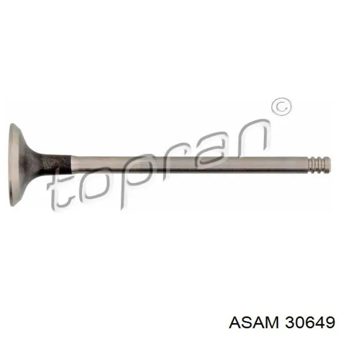 Compre 30649 Asam Válvula de escape