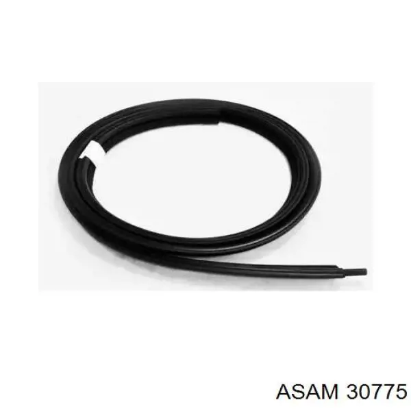 Compactador de tampa de porta-malas Asam 30775 preço, a partir de 99,79 USD