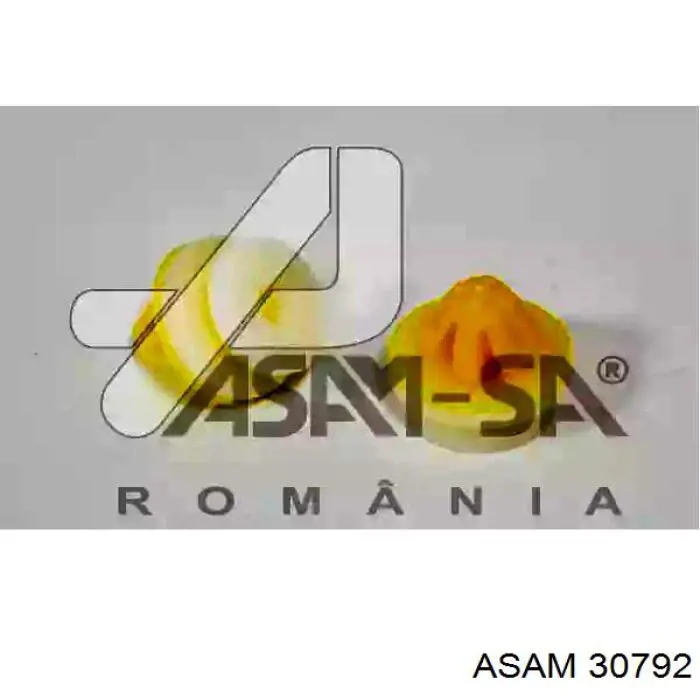 30792 Asam Cápsula (prendedor) de fixação de revestimento da porta