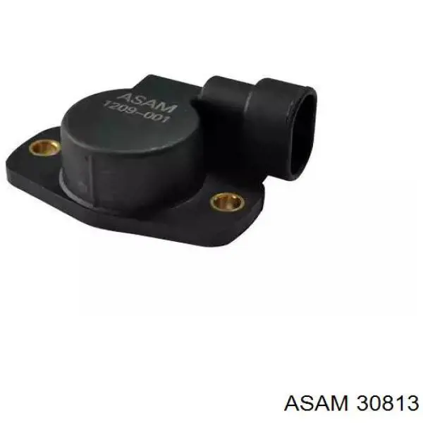 Sensor de posição da válvula de borboleta (potenciômetro) Asam 30813 preço, a partir de 11,26 USD