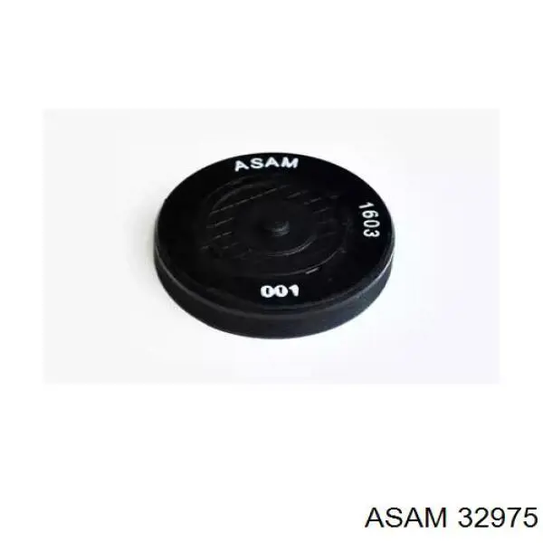 Tampão CBC/do bloco de cilindros Asam 32975 preço, a partir de 6,93 USD