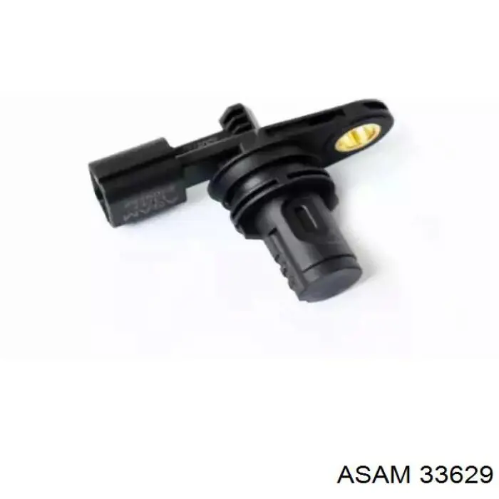 33629 Asam Sensor de posição da árvore distribuidora