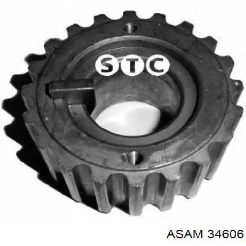 Engrenagem de cadeia da roda dentada de acionamento de cambota de motor Asam 34606 preço, a partir de 18,42 USD