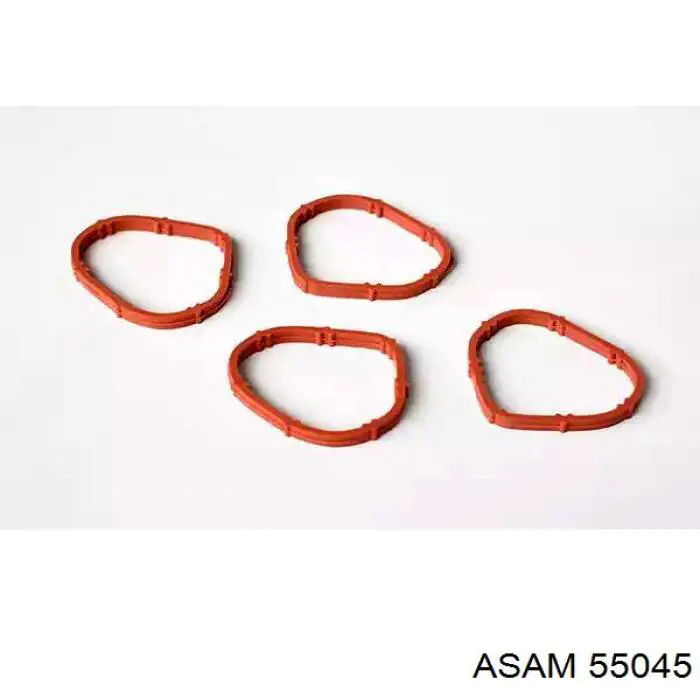 55045 Asam Vedante de tubo coletor de admissão