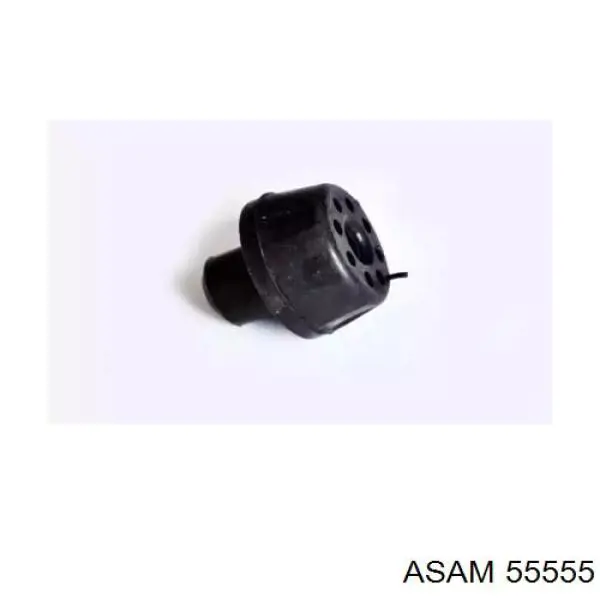55555 Asam Coxim inferior do radiador