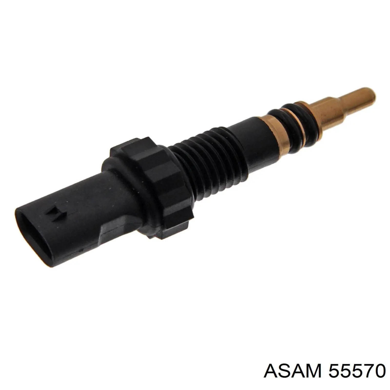55570 Asam Coxim de fixação do silenciador