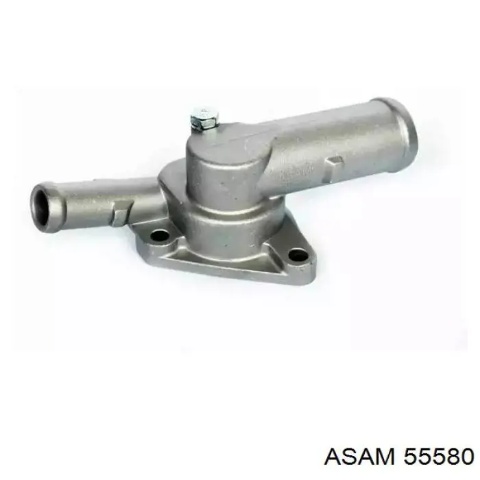 55580 Asam Termostato
