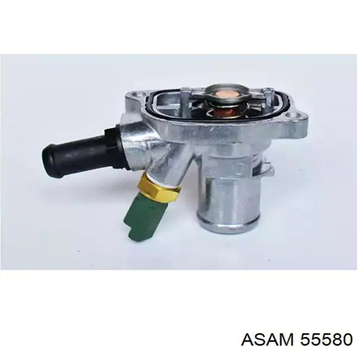 Compre 55580 Asam Termostato