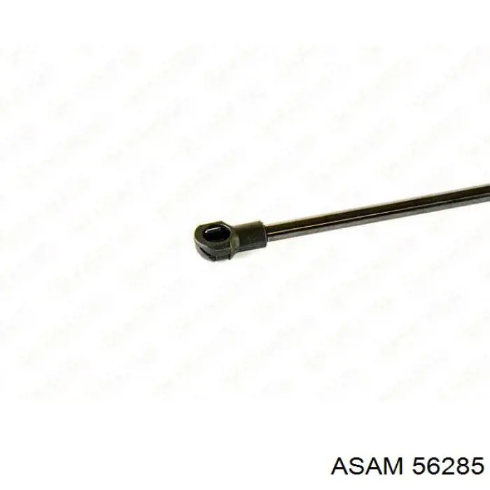 Compre 10100569 Depo/Loro/Abakus Amortecedor da capota