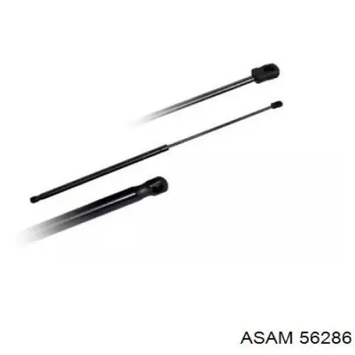 Compre 56286 Asam Amortecedor de tampa de porta-malas (de 3ª/5ª porta traseira)