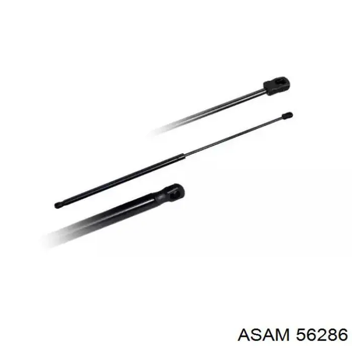 Amortecedor de tampa de porta-malas (de 3ª/5ª porta traseira) GS1259 Magneti Marelli
