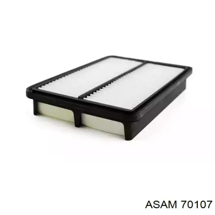 70107 Asam Filtro de ar