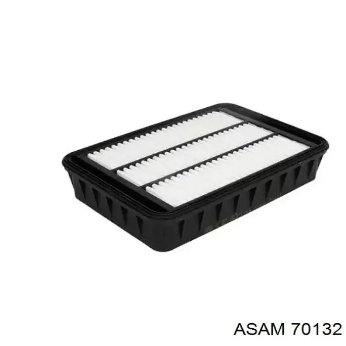 Compre 70132 Asam Filtro de ar