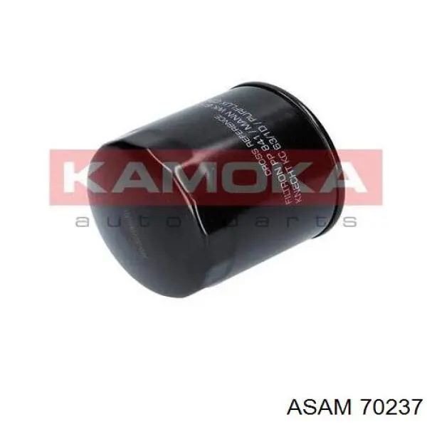 Compre 70237 Asam Filtro de combustível