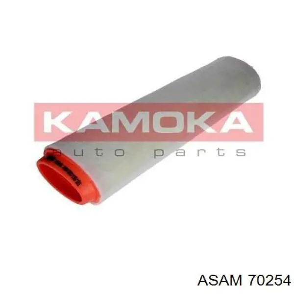 70254 Asam Filtro de ar