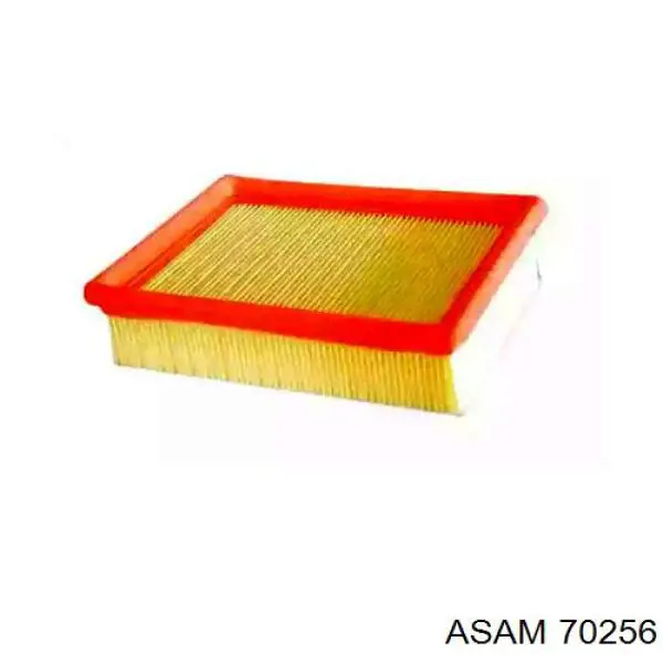 70256 Asam Filtro de ar