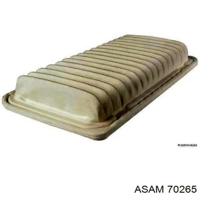 Compre 70265 Asam Filtro de ar