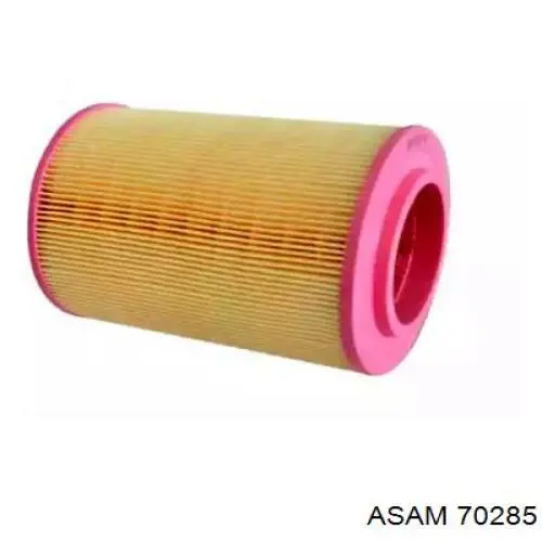 70285 Asam Filtro de ar