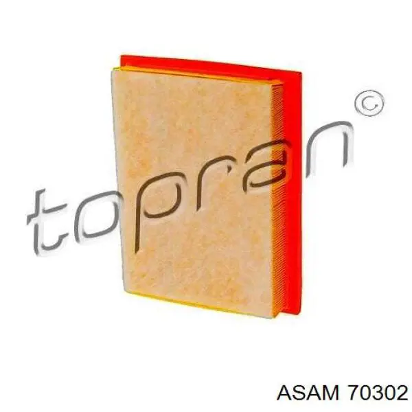 Compre 70302 Asam Filtro de ar
