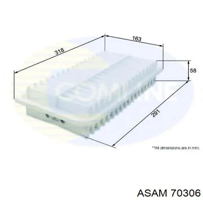 Compre 70306 Asam Filtro de ar
