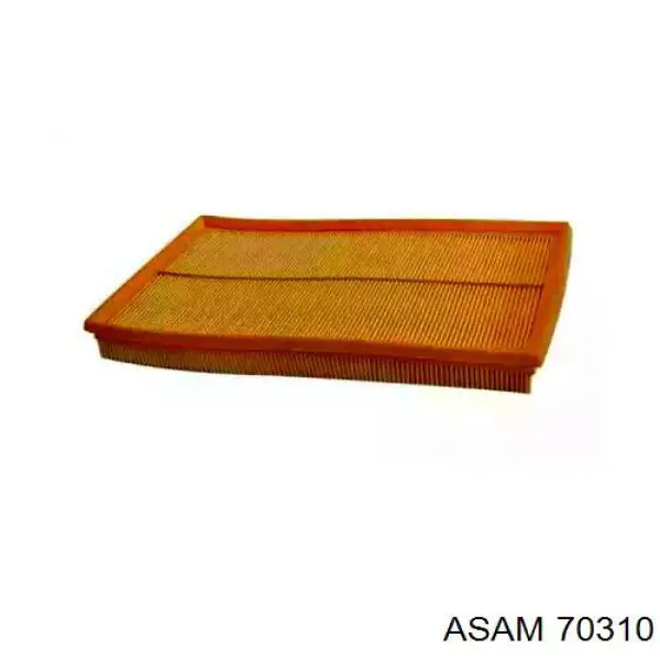 Compre 70310 Asam Filtro de ar