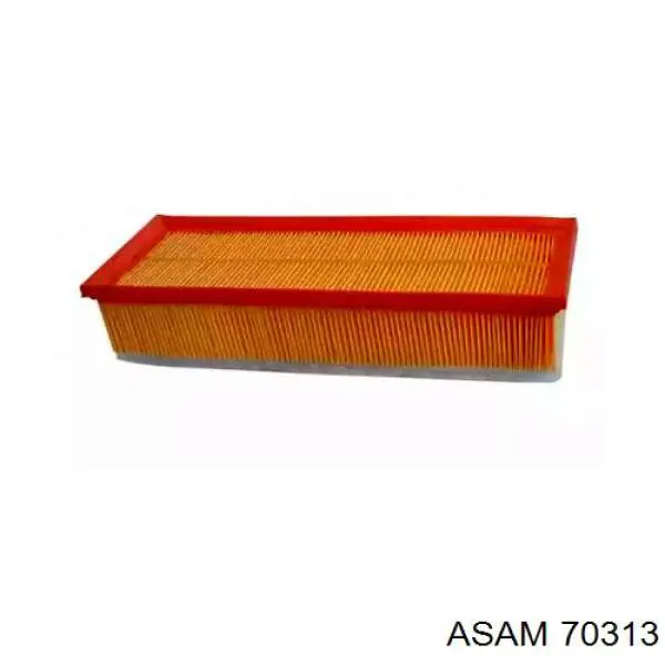 70313 Asam Filtro de ar