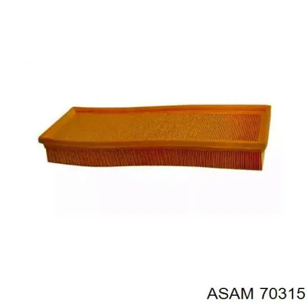 70315 Asam Filtro de ar