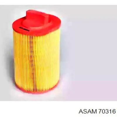 70316 Asam Filtro de ar