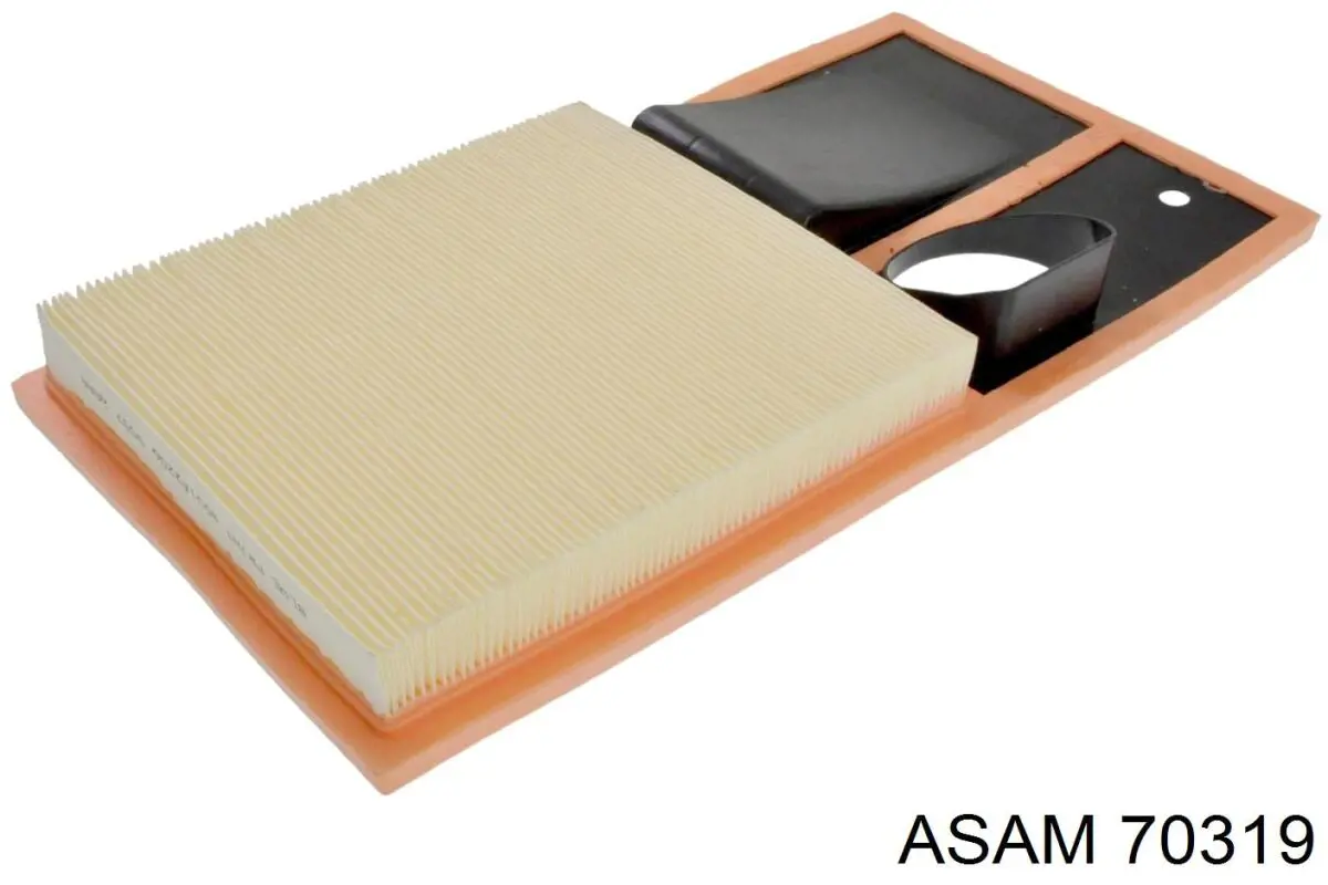 Compre 70319 Asam Filtro de ar