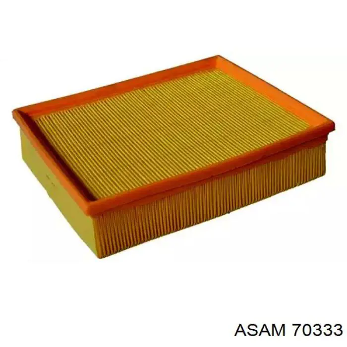 70333 Asam Filtro de ar