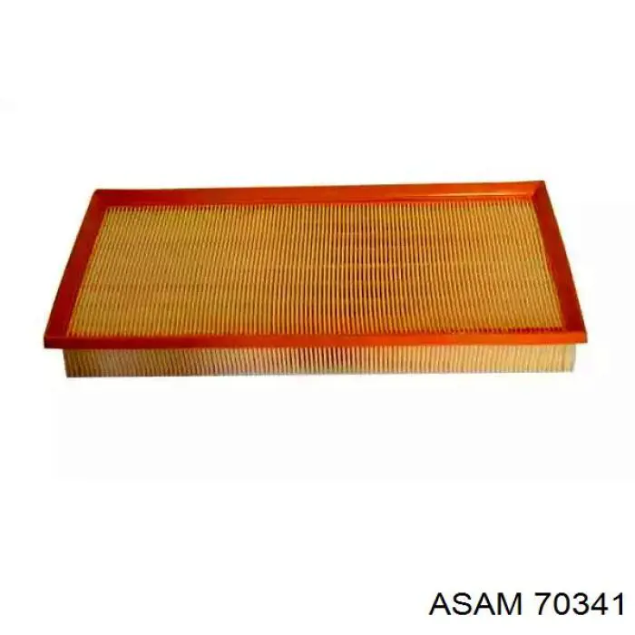 70341 Asam Filtro de ar
