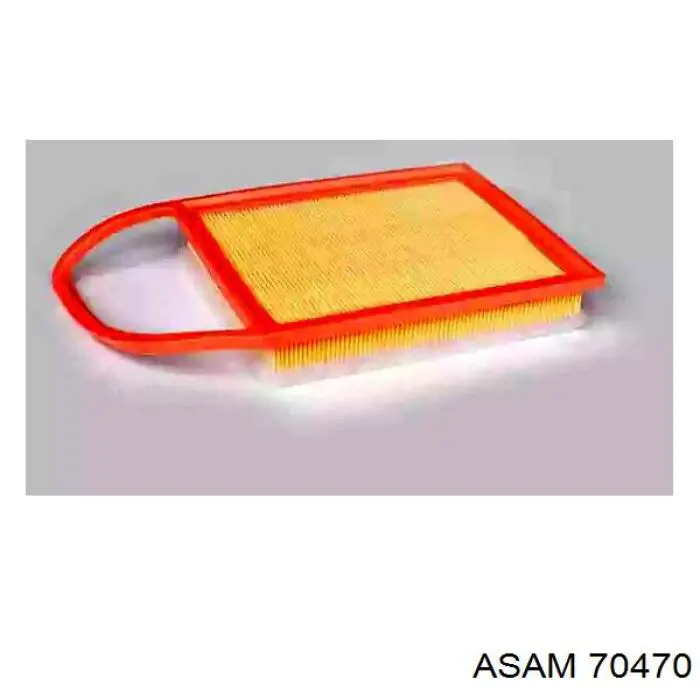70470 Asam Amortecedor traseiro